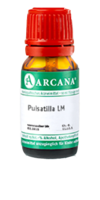 PULSATILLA LM 19 Dilution